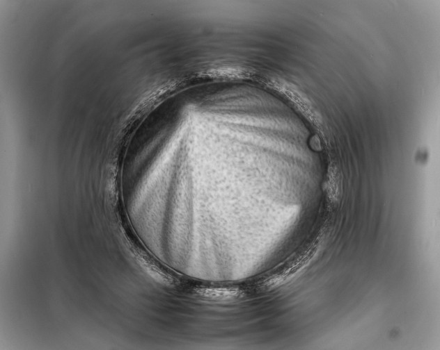 X0000098220449200805081202