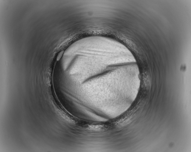 X0000098220450200805081202