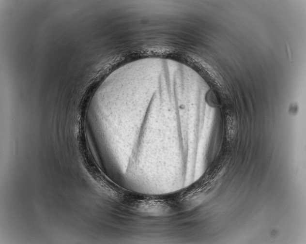 X0000098220451200805081202