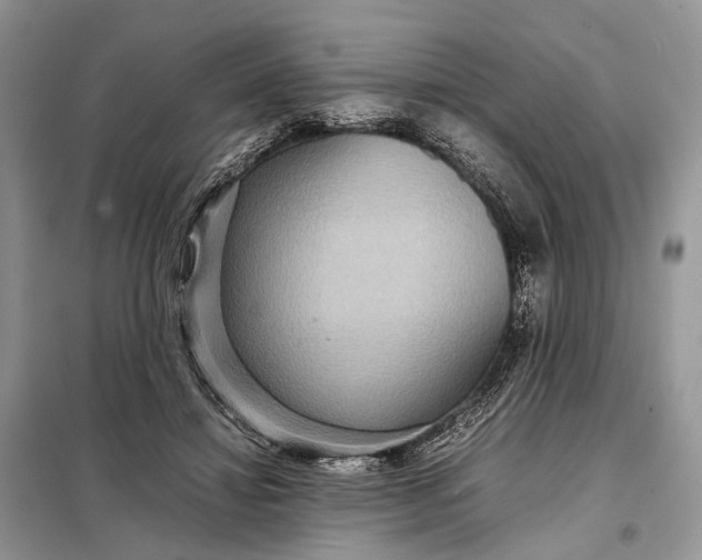 X0000098220452200805081202