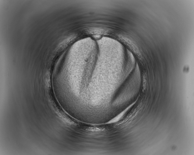 X0000098220453200805081202