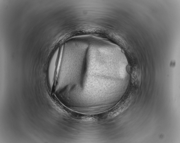 X0000098220454200805081202