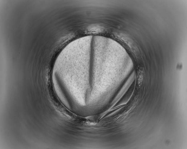 X0000098220455200805081202