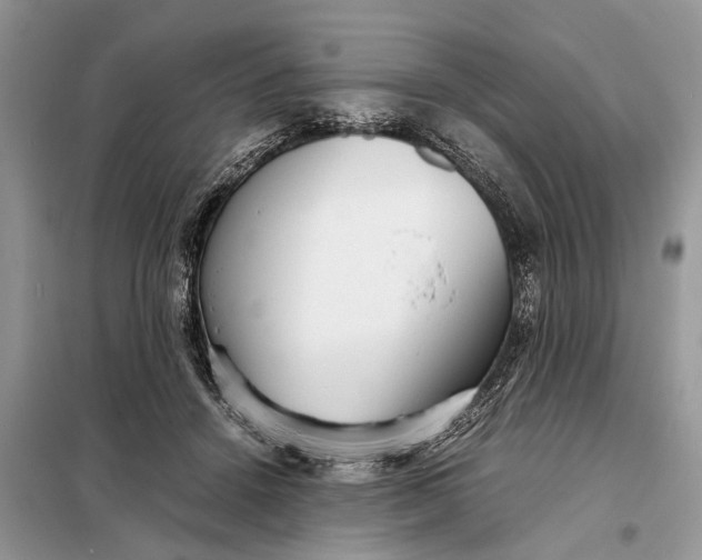 X0000098220456200805081202