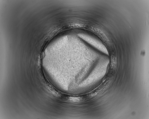 X0000098220457200805081202