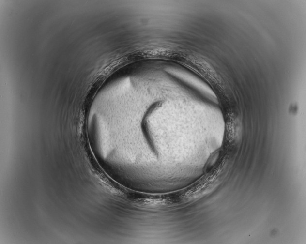 X0000098220458200805081202