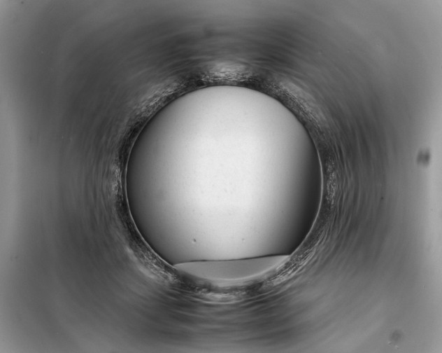 X0000098220459200805081202