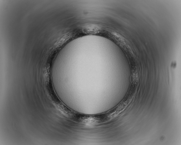 X0000098220460200805081202