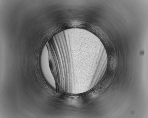 X0000098220461200805081202