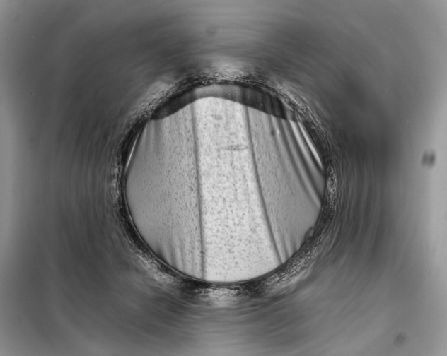 X0000098220462200805081202