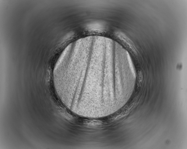 X0000098220463200805081202