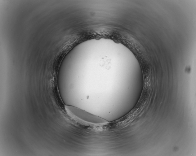 X0000098220464200805081202