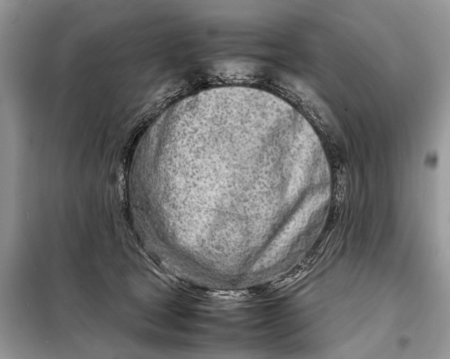 X0000098220465200805081202