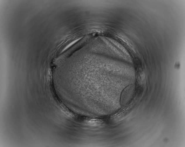 X0000098220467200805081202