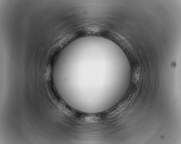 X0000098220468200805081202