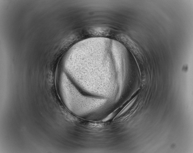 X0000098220469200805081202