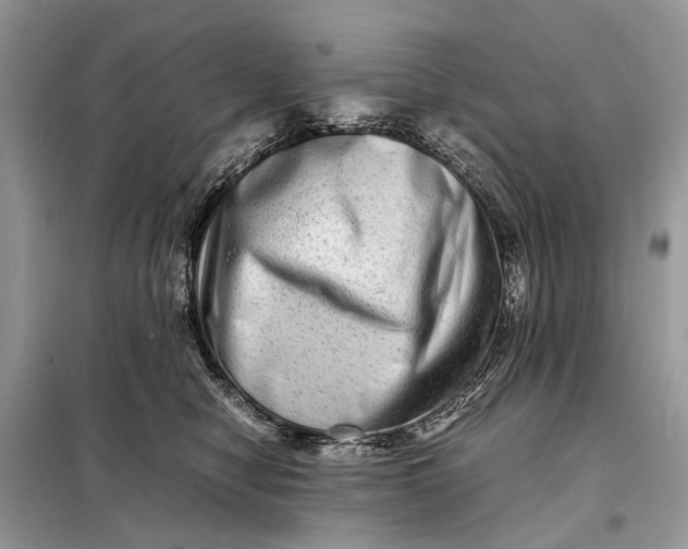 X0000098220470200805081202