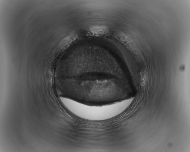 X0000098220471200805081202