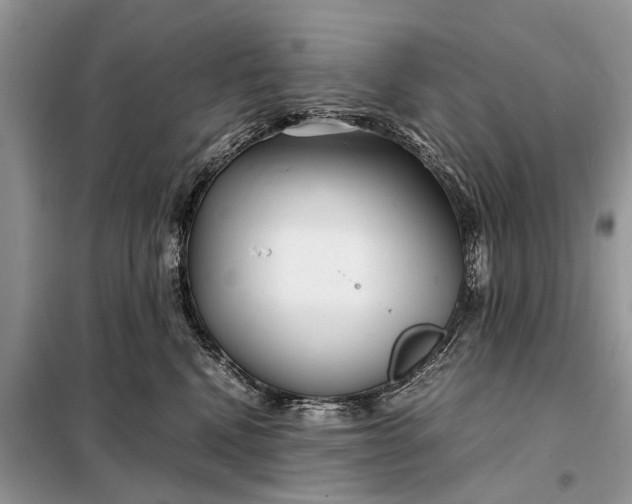 X0000098220472200805081202