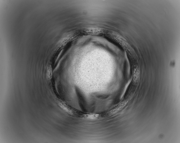 X0000098220474200805081202