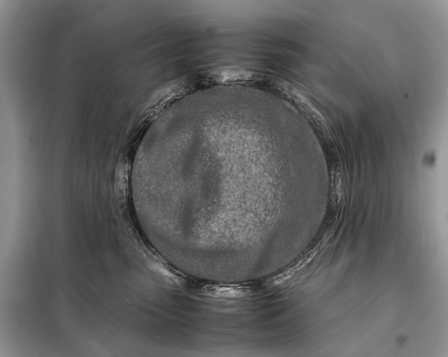 X0000098220475200805081202