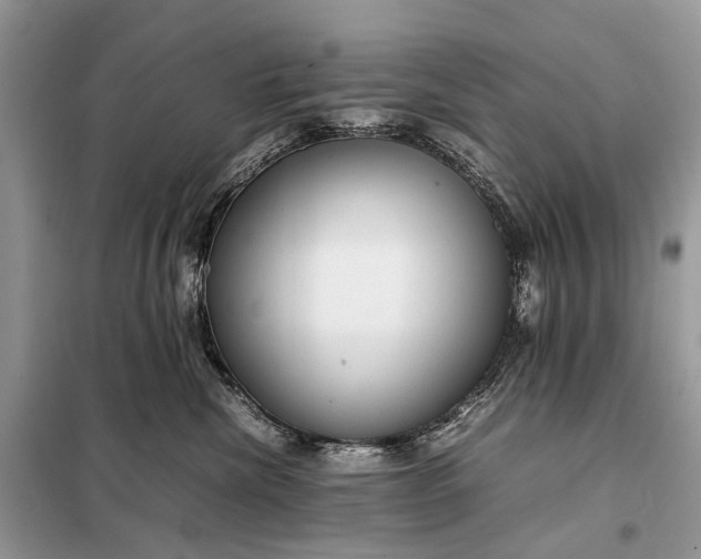 X0000098220476200805081203