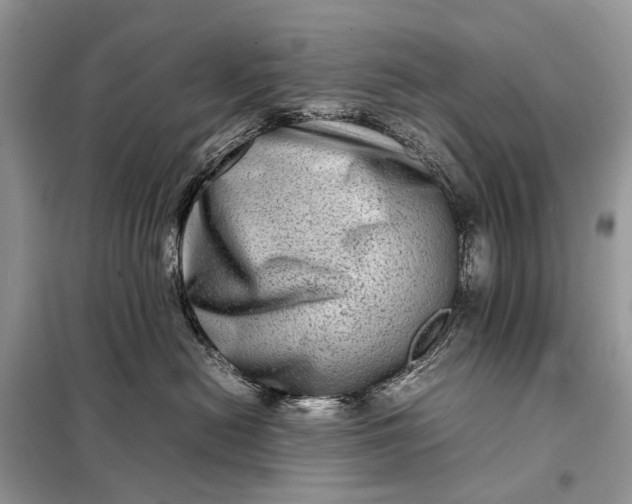 X0000098220478200805081203