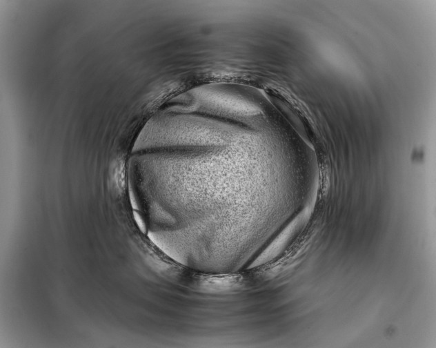 X0000098220479200805081203