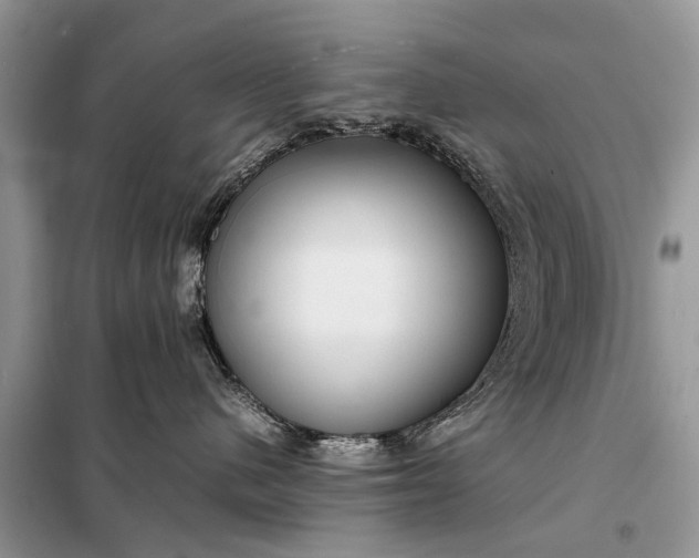 X0000098220480200805081203