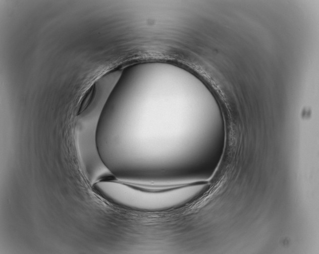 X0000098220481200805081202