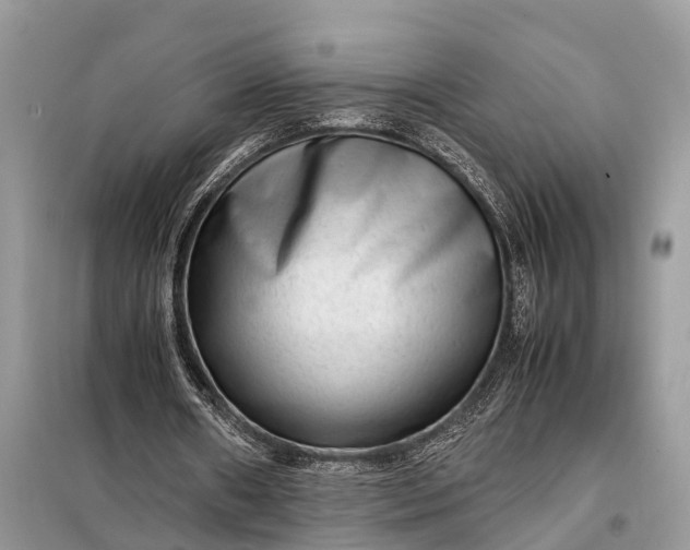 X0000098220482200805081202