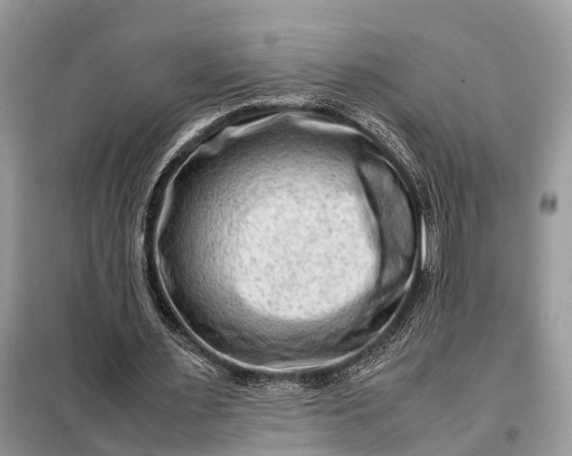 X0000098220483200805081202