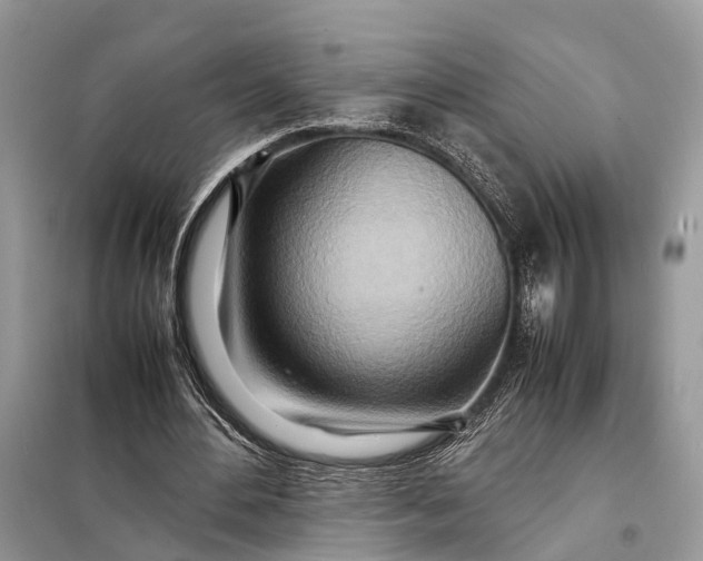 X0000098220484200805081202