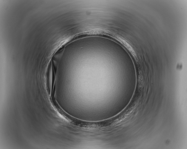 X0000098220485200805081202