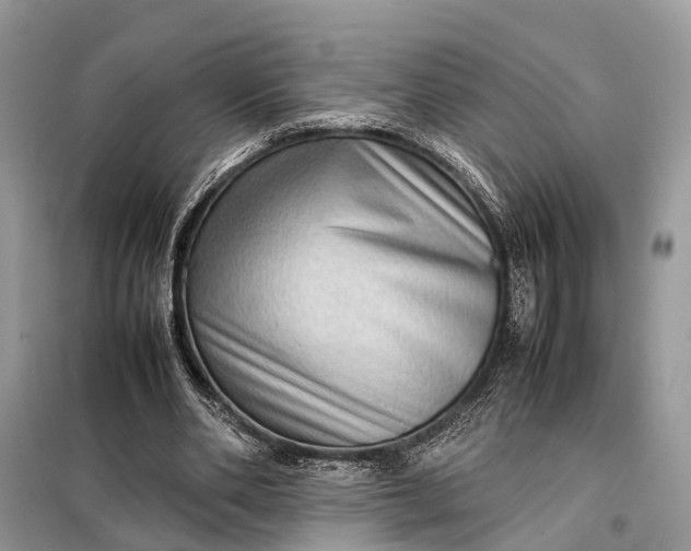 X0000098220486200805081202