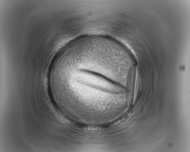 X0000098220487200805081202