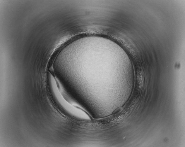 X0000098220488200805081202