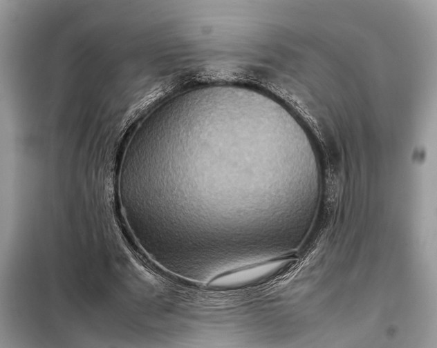 X0000098220489200805081202