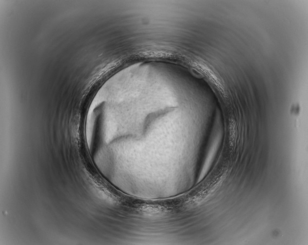 X0000098220490200805081202