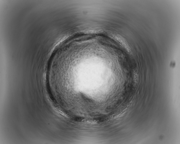 X0000098220491200805081202