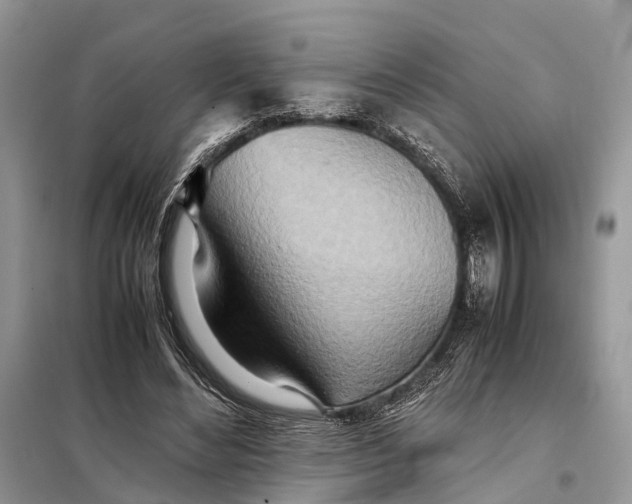 X0000098220492200805081202