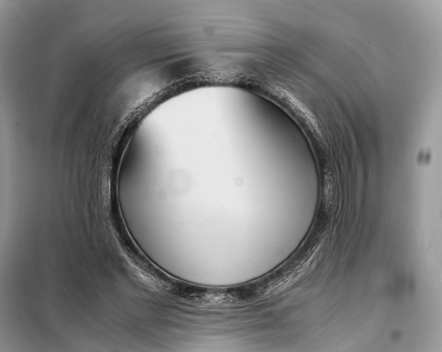 X0000098220493200805081202