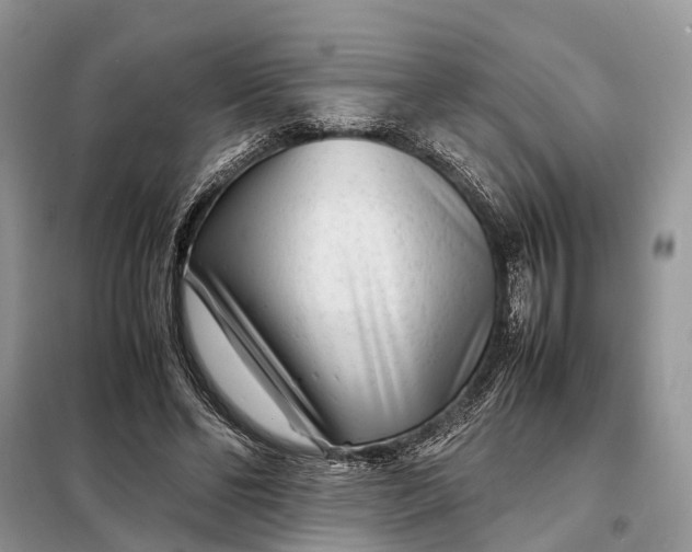 X0000098220494200805081202