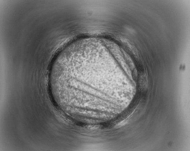 X0000098220495200805081202