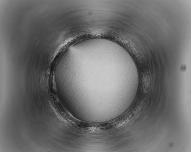 X0000098220496200805081202