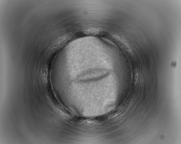 X0000098220498200805081202