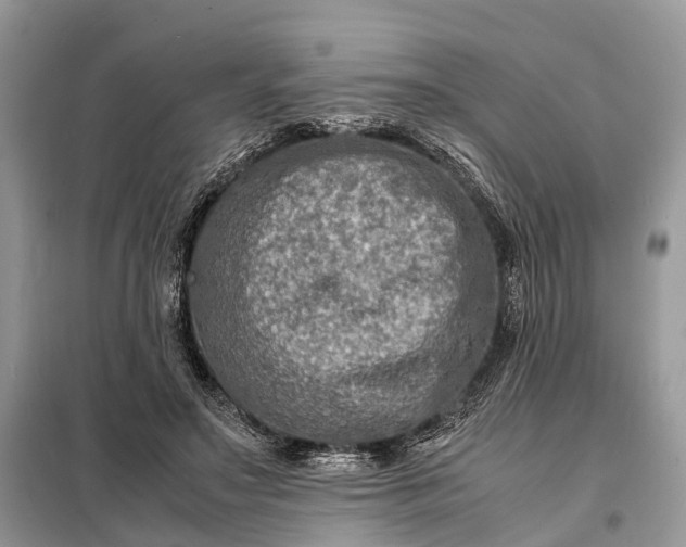 X0000098220499200805081202