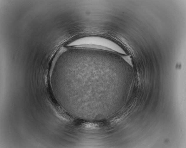 X0000098220500200805081202