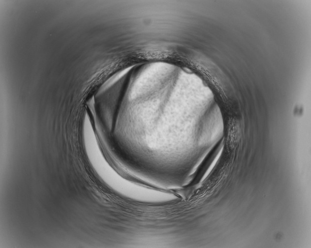 X0000098220501200805081202