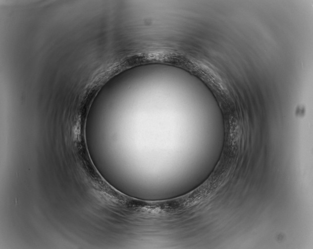 X0000098220502200805081202